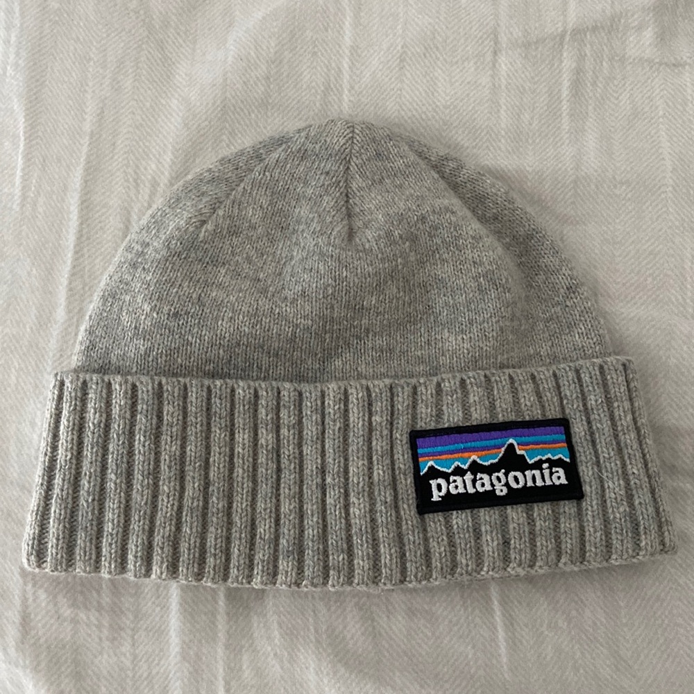 Patagonia Logo Beanie